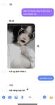em Loan dâm chat sex với bạn 😋