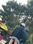 Chúp lén em gái Phương Thảo lòi mông