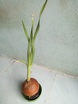 Tìm nữ dong nai giao luu vui vẻ kín thi alo 0865058423