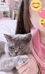 1376 ảnh trong 1 album: Cô gái loli dễ thương 4