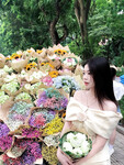 Tô Ánh Nguyệt