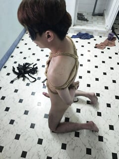 cún ngoan của Master H