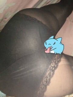 Buggcat capoo nek:33